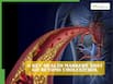 Cardiovascular risk: 6 key health markers that go beyond total cholesterol
