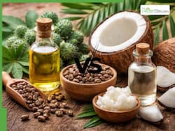 Castor oil vs coconut oil: Which Is best for faster hairfall control and new hair growth in summer?