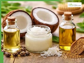 Castor oil vs coconut oil: Which oil works best with mustard oil for faster hair growth? Castor oil vs coconut oil: Which oil works best with mustard oil for faster hair growth?