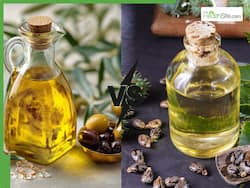 Castor oil vs olive oil: Which is the best natural hair growth oil for thick lashes and brows?