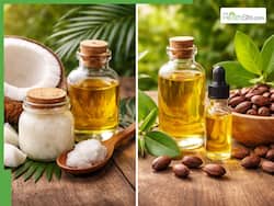 Coconut Oil vs Jojoba Oil: Which one works better for faster hair growth in summer?