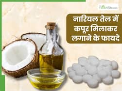 नारियल तेल में कपूर मिलाकर लगाने से क्या होता है? जानें, किन 5 परेशानियों में है फायदेमंद