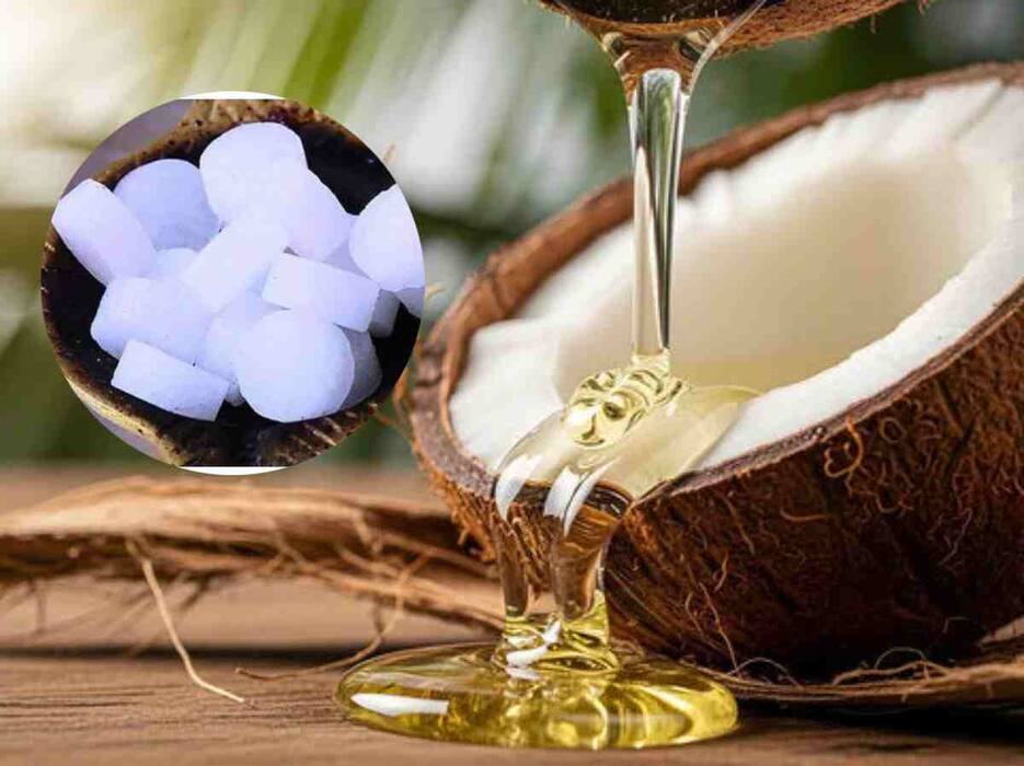 नारियल तेल में कपूर मिलाकर लगाने से क्या होता है? जानें, किन 5 परेशानियों में है फायदेमंद
