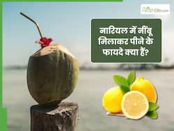 गर्मियों में पिएं नारियल पानी में मिलाकर नींबू, हीट स्ट्रोक से लेकर स्किन की परेशानी होगी कम