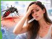 Dengue Hemorrhagic Fever: 5 Warning Signs You Are Infected With The Dengue Virus