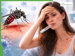 Dengue Hemorrhagic Fever: 5 Warning Signs You Are Infected With The Dengue Virus
