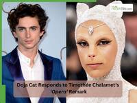 Doja Cat responds to Timothée Chalamet’s ‘Opera’ Remark: Why online criticism and public feuds can take a toll on mental health