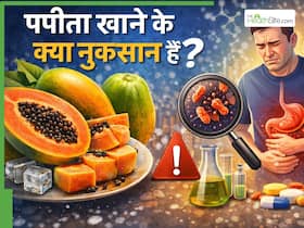 इन 5 लोगों के लिए नुकसानदेह हो सकता है पपीता, रोजाना खाने से बढ़ सकती हैं परेशानियां इन 5 लोगों के लिए नुकसानदेह हो सकता है पपीता, रोजाना खाने से बढ़ सकती हैं परेशानियां