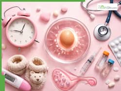 Egg quality and fertility: How age affects reproductive health, IVF success and modern fertility options