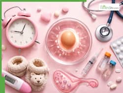 Egg quality and fertility: How age affects reproductive health, IVF success and modern fertility options