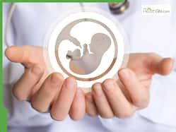 Fertility by age: How your chances of getting pregnant change at 25, 30, 35 and 40?