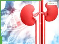 Genetic Kidney Diseases Explained: Early warning signs, family risk, and when to prepare for dialysis or transplant