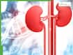 Genetic Kidney Diseases Explained: Early warning signs, family risk, and when to prepare for dialysis or transplant