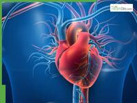 Heart attack symptoms without chest pain: Silent warning signs you should never ignore
