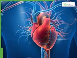 Heart attack symptoms without chest pain: Silent warning signs you should never ignore