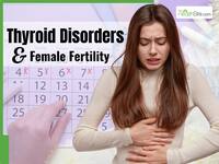 Thyroid Disorders And Female Fertility: How Thyroid Imbalance Affects Ovulation And Irregular Periods