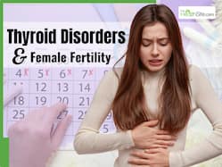 Thyroid Disorders And Female Fertility: How Thyroid Imbalance Affects Ovulation And Irregular Periods