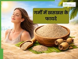 गर्मी की डाइट में शामिल करें खसखस, मिलेगी ठंडक और हड्डियां बनेंगी मजबूत