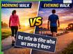 Morning Vs Evening Walk, जानिए Weight Loss के लिए किस समय टहलना चाहिए?