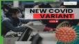 techlusive news