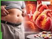 World Health Day 2026: Obesity in India — Doctor explains how belly fat raises heart attack risk in young adults #FitIndiaHitIndia