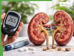 Rare side effects of high blood sugar levels: How does diabetes affect your kidneys and damage blood vessels