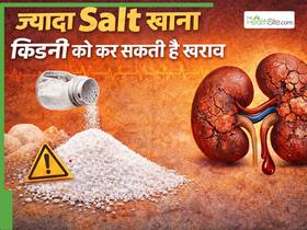 ज्यादा Salt खाना किडनी को कर सकती है खराब, डॉक्टर से जानिए 1 दिन में कितने ग्राम नमक खाना चाहिए?