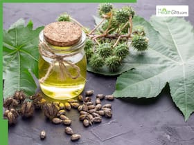 Summer hair care: 5 Best oils to mix with castor oil to grow new hair based on your hair type