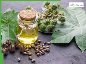 Summer hair care: 5 Best oils to mix with castor oil to grow new hair based on your hair type