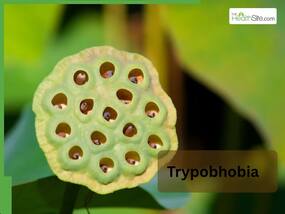 Trypophobia symptoms: Why Honeycomb and Lotus seeds can make some people uncomfortable