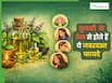 तुलसी का तेल शरीर की इन 4 परेशानियों को करता है दूर, जानिए इस्तेमाल करने का सही तरीका