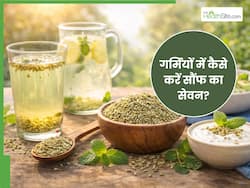 गर्मियों में शरीर को ठंडा रखे सौंफ, जानिए सेवन के 5 आसान तरीके