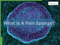 What Is A ‘Pain Sponge’? New Stem Cell Discovery Could Block Pain Signals