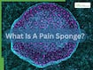 What Is A ‘Pain Sponge’? New Stem Cell Discovery Could Block Pain Signals