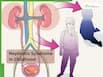 World Kidney Day 2026: Steroid-resistant nephrotic syndrome in children and how genetic testing Is changing outcomes