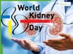 World kidney Day 2026: How lifestyle choices can affect Kidney health and function