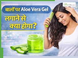 क्या बालों पर एलोवेरा जेल लगा सकते हैं? जानें Aloe Vera Gel बालों को कैसे बनाता है सॉफ्ट-शाइनी