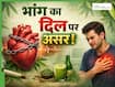 आप भी पीते है होली में जमकर भांग, जानें दिल को कैसे पहुंचाता है नुकसान