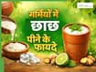 गर्मियों में जरूर पिएं छाछ, पेट की जलन होगी शांत और लू से होगा बचाव