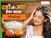 बालों पर अंडा और दही कैसे लगाना चाहिए? जानें 5 तरीके, जिनसे बालों की बढ़ेगी चमक
