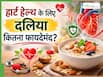 क्या हार्ट हेल्थ के लिए दलिया खाना फायदेमंद होता है? जानें एक्सपर्ट की राय