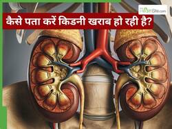 थकान और कमजोरी बताती है खराब हो गई है किडनी, 5 अन्य लक्षण दिखने पर हो जाएं सचेत