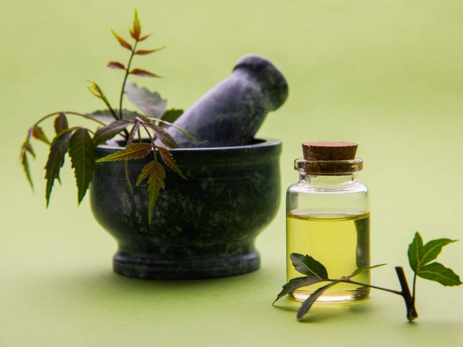 बालों की ग्रोथ के लिए कौन-सा आयुर्वेदिक तेल है सही? टॉप 5 में हैं ये Oils