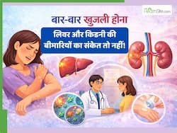 शरीर पर अक्सर रहती है खुजली? जिम्मेदार हो सकती हैं लिवर-किडनी से जुड़ी ये बीमारियां