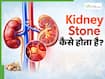 किडनी में पथरी कैसे बनती है? जानें इस बीमारी के लक्षण, कारण और इलाज क्या हैं