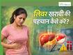 लिवर में खराबी के शुरुआती संकेत क्या हैं? इन 5 लक्षणों को 90 फीसदी लोग कर देते हैं नजरअंदाज
