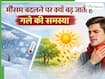 मौसम में अचानक बदलाव से क्यों बढ़ जाती हैं गले और साइनस की समस्याएं? बता रहे हैं डॉक्टर