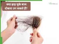 क्या झड़ चुके बाल दोबारा उग सकते हैं? जानिए कारण, प्रकार और इलाज