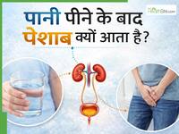 पानी पीते ही 10-15 मिनट में आ जाता है पेशाब? जानिए क्या यह किसी बीमारी का संकेत है