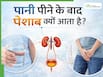 पानी पीते ही 10-15 मिनट में आ जाता है पेशाब? जानिए क्या यह किसी बीमारी का संकेत है